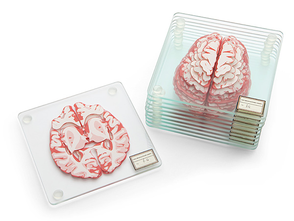 huir_brain_specimen_coasters